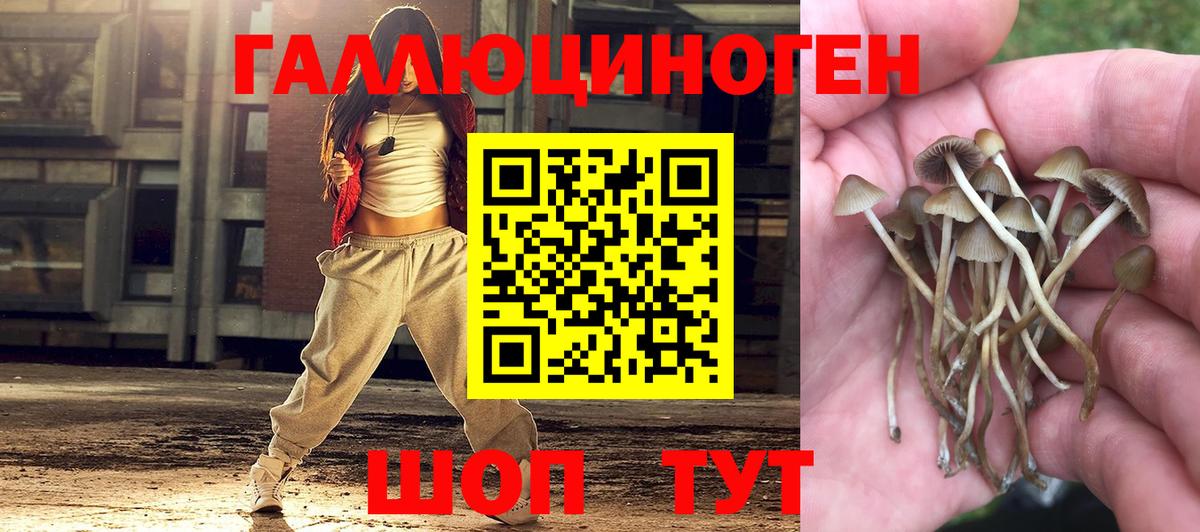 Воскресенск  Псилоцибиновые грибы Cubensis  Вход с VPN  Псилоцибиновые грибы мицелий 