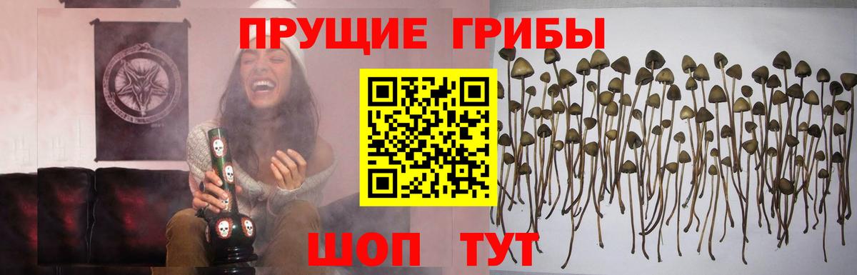 Галлюциногенные грибы Magic Shrooms Воскресенск